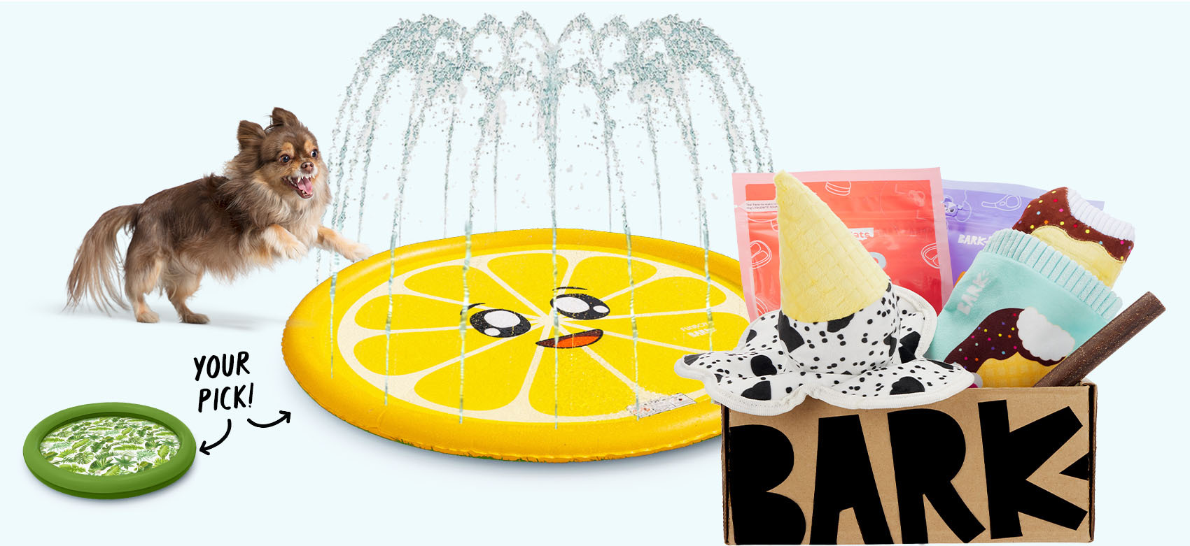 Barkbox Desktop Banner