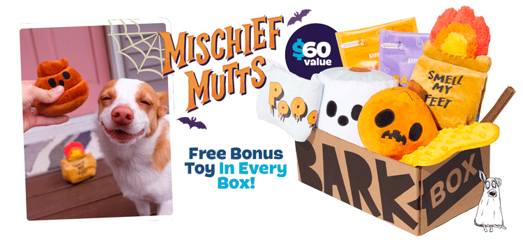 Barkbox Mobile Banner