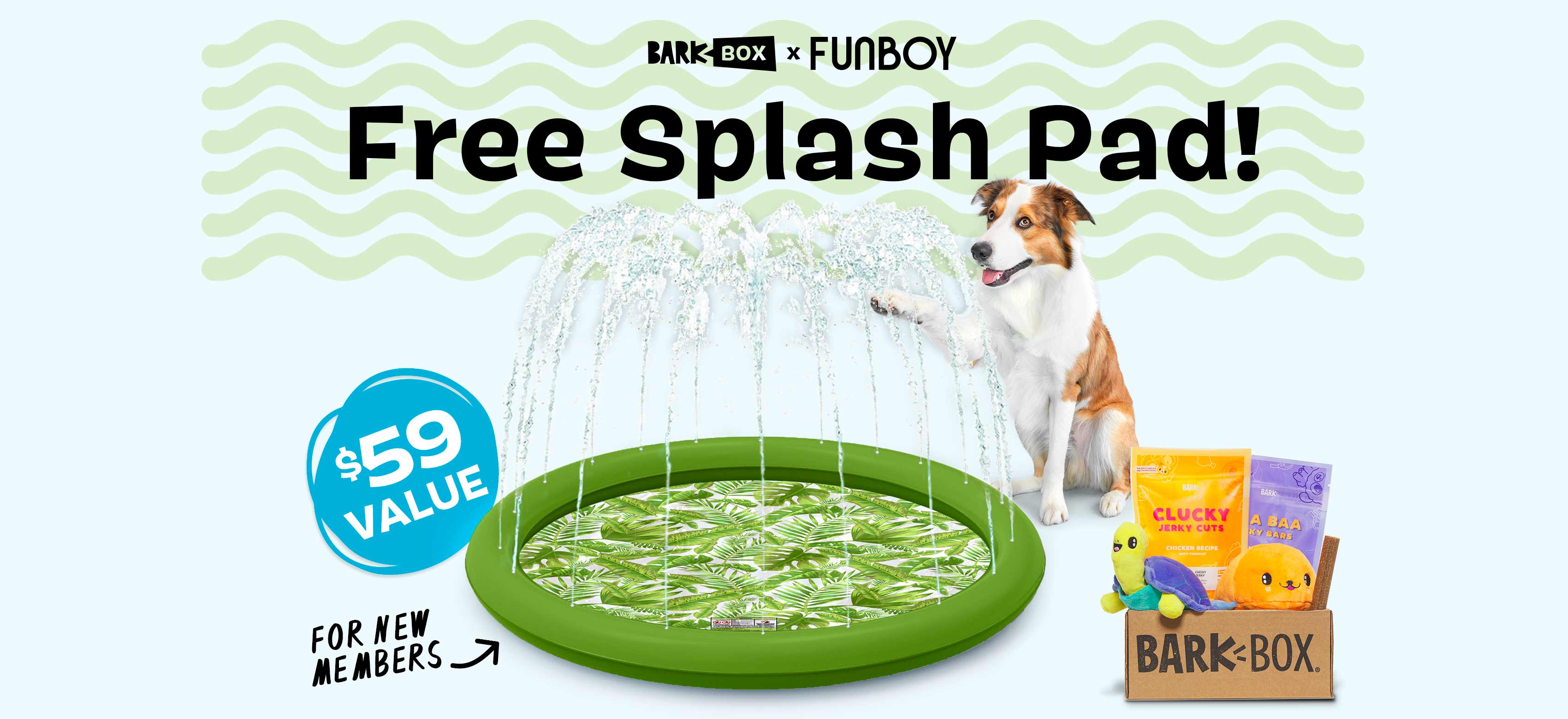 BarkBox, a monthly box of dog goodies starting at $23 per month
