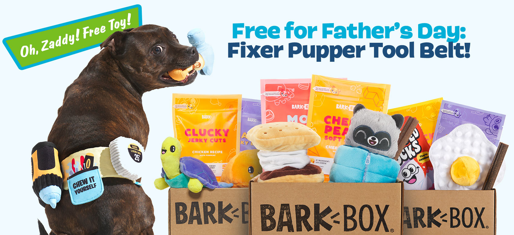 BarkBox, a monthly box of dog goodies starting at $23 per month
