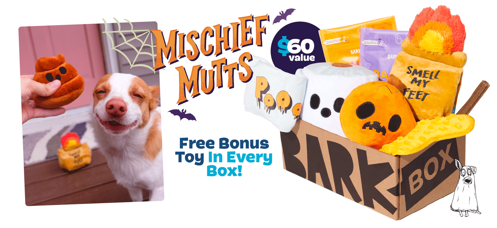 Barkbox Desktop Banner