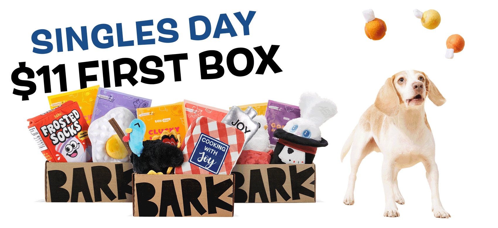 Barkbox Desktop Banner