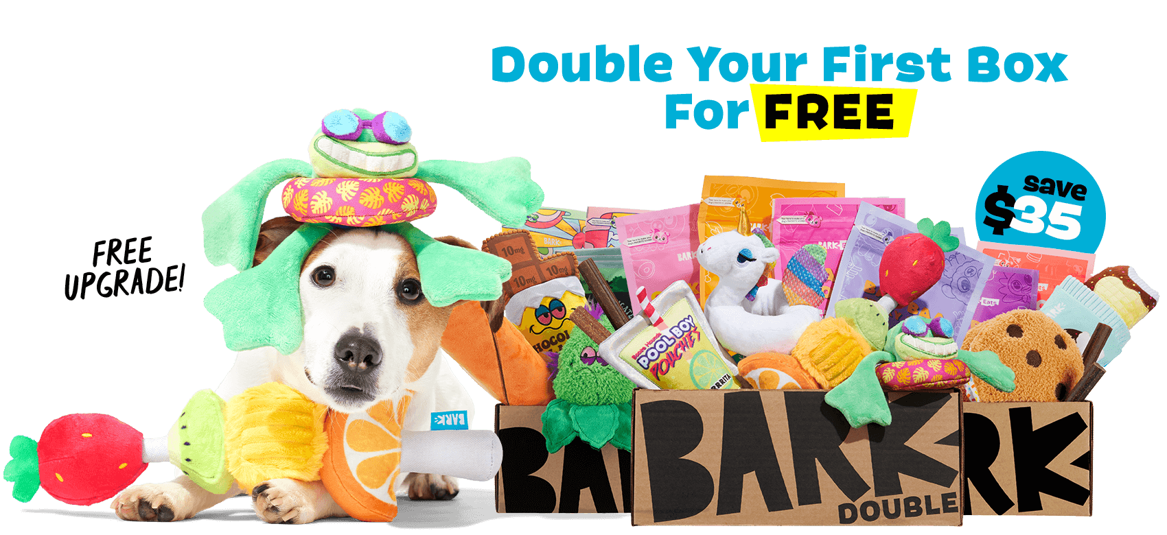 Barkbox Desktop Banner