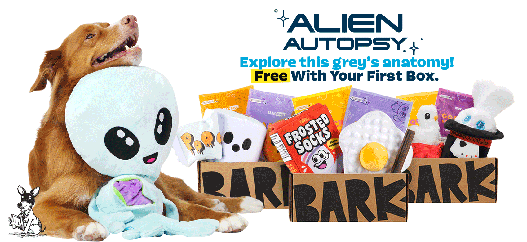 BarkBox, a monthly box of dog goodies starting at $23 per month