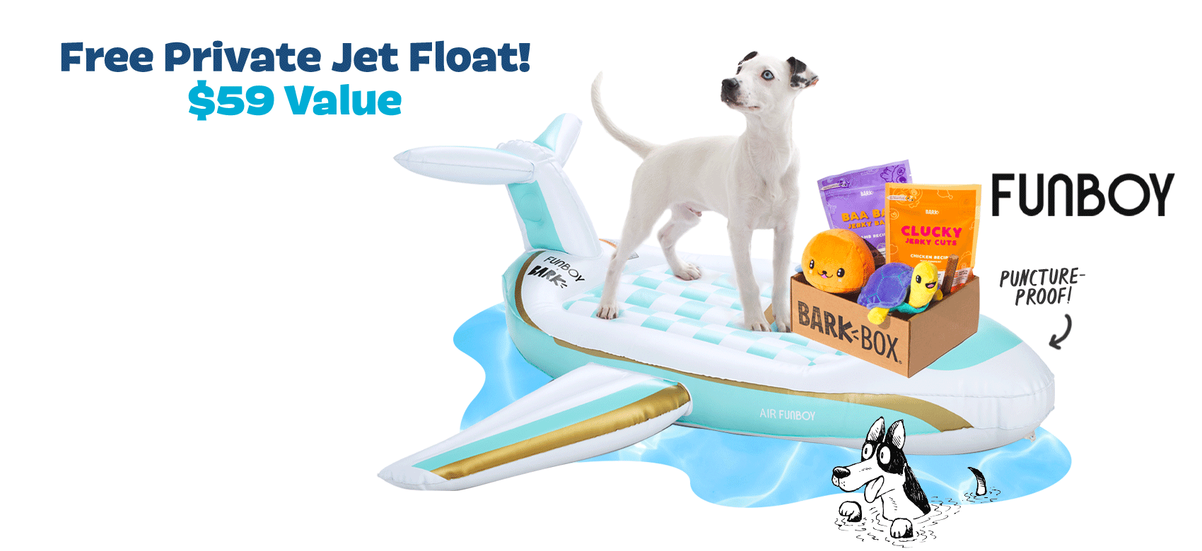 BarkBox, a monthly box of dog goodies starting at $23 per month