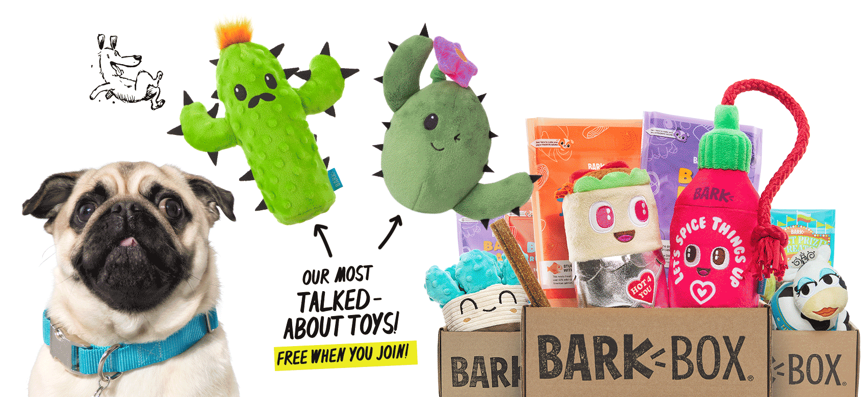 BarkBox, a monthly box of dog goodies starting at $23 per month