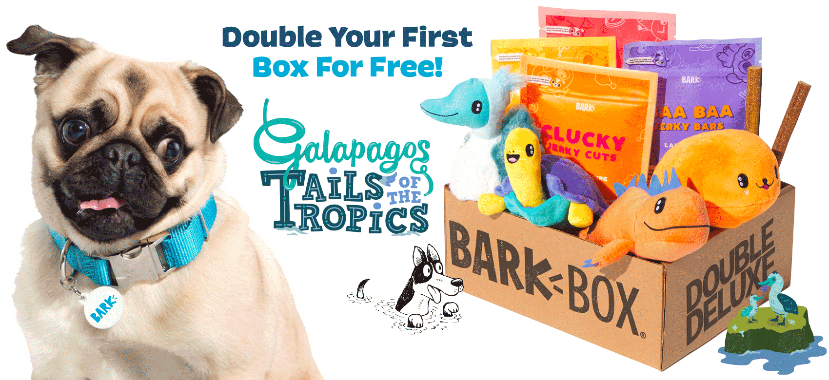 BarkBox, a monthly box of dog goodies starting at $23 per month
