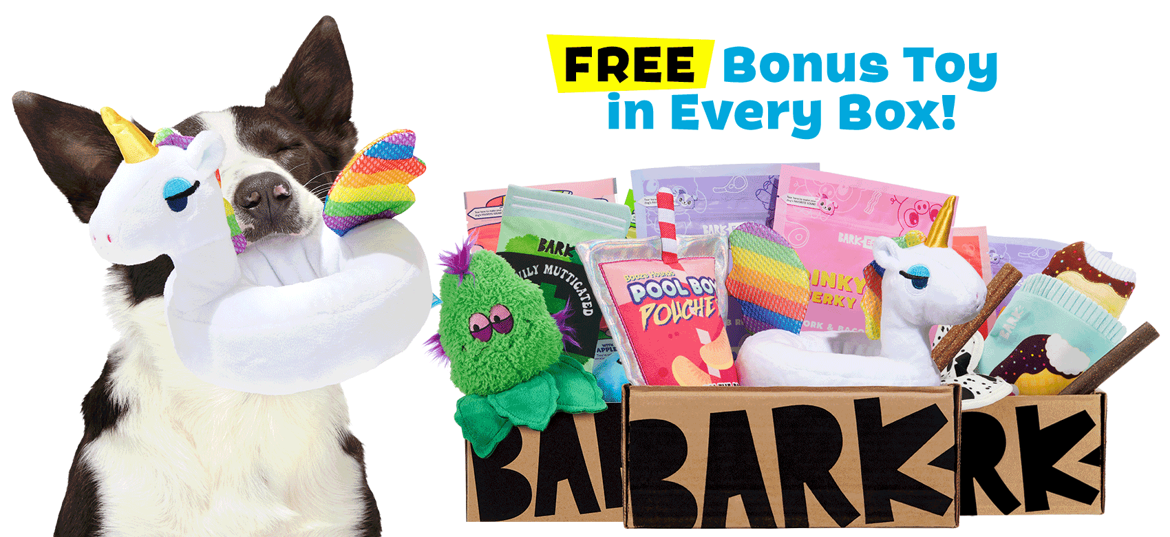 Barkbox Mobile Banner