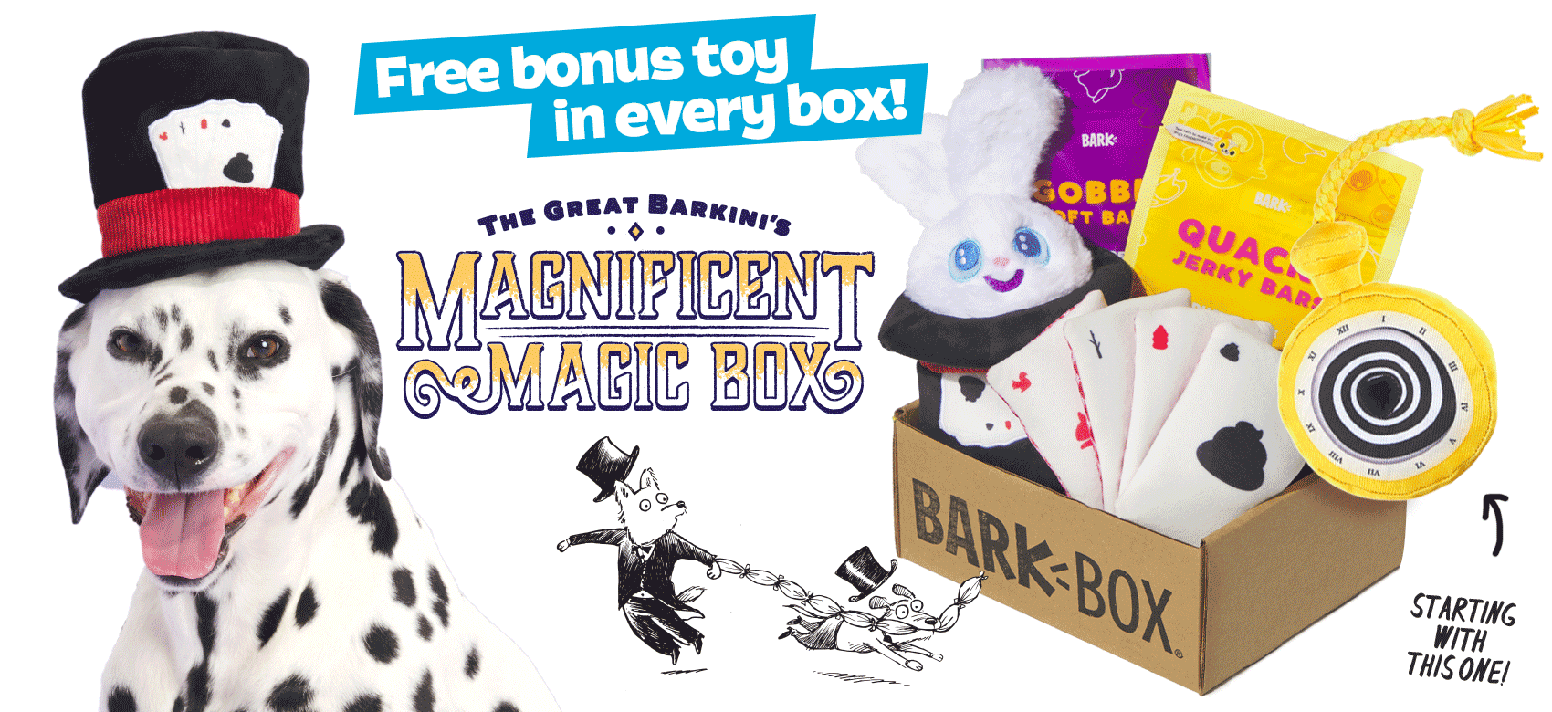 BarkBox, a monthly box of dog goodies starting at $23 per month
