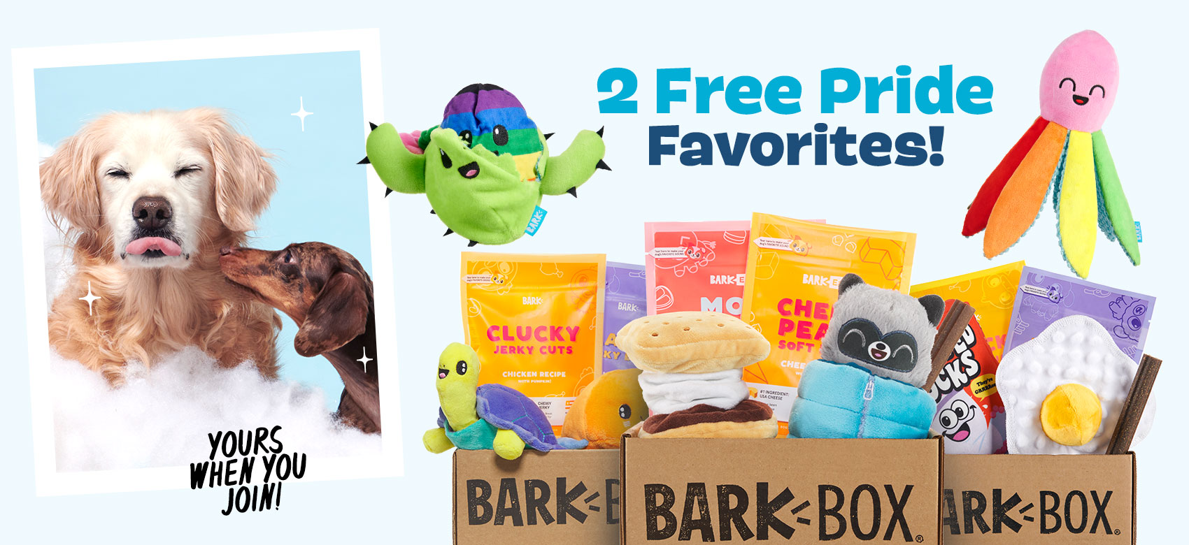 BarkBox, a monthly box of dog goodies starting at $23 per month