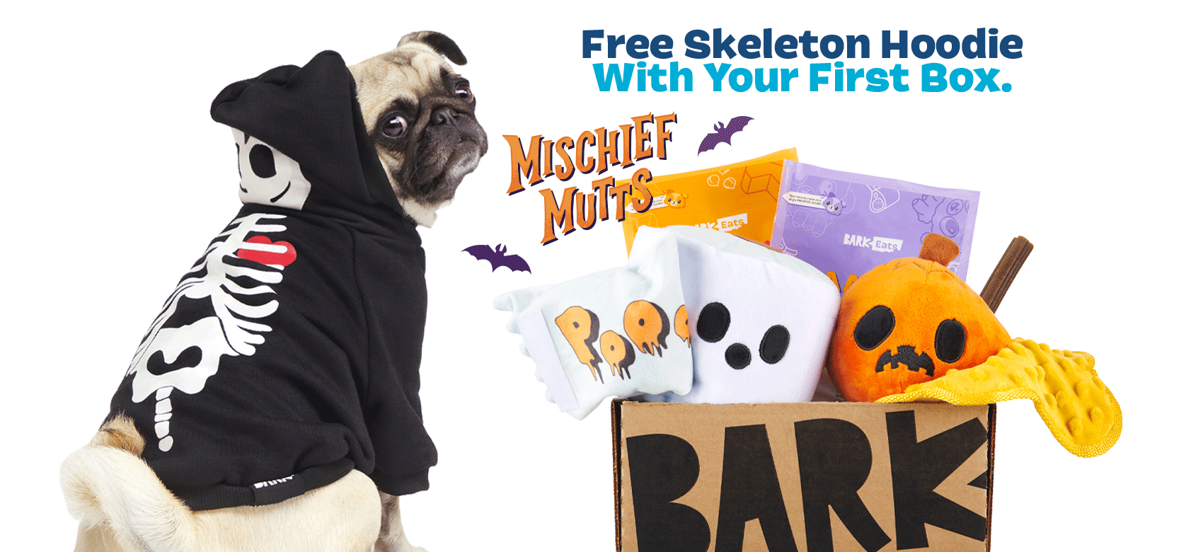 BarkBox, a monthly box of dog goodies starting at $23 per month